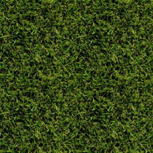 Grama NEW GOLDEN 750 color verde