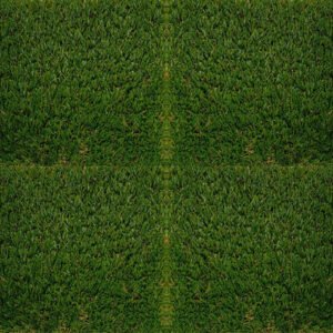 Grama EVERGREEN verde bitono